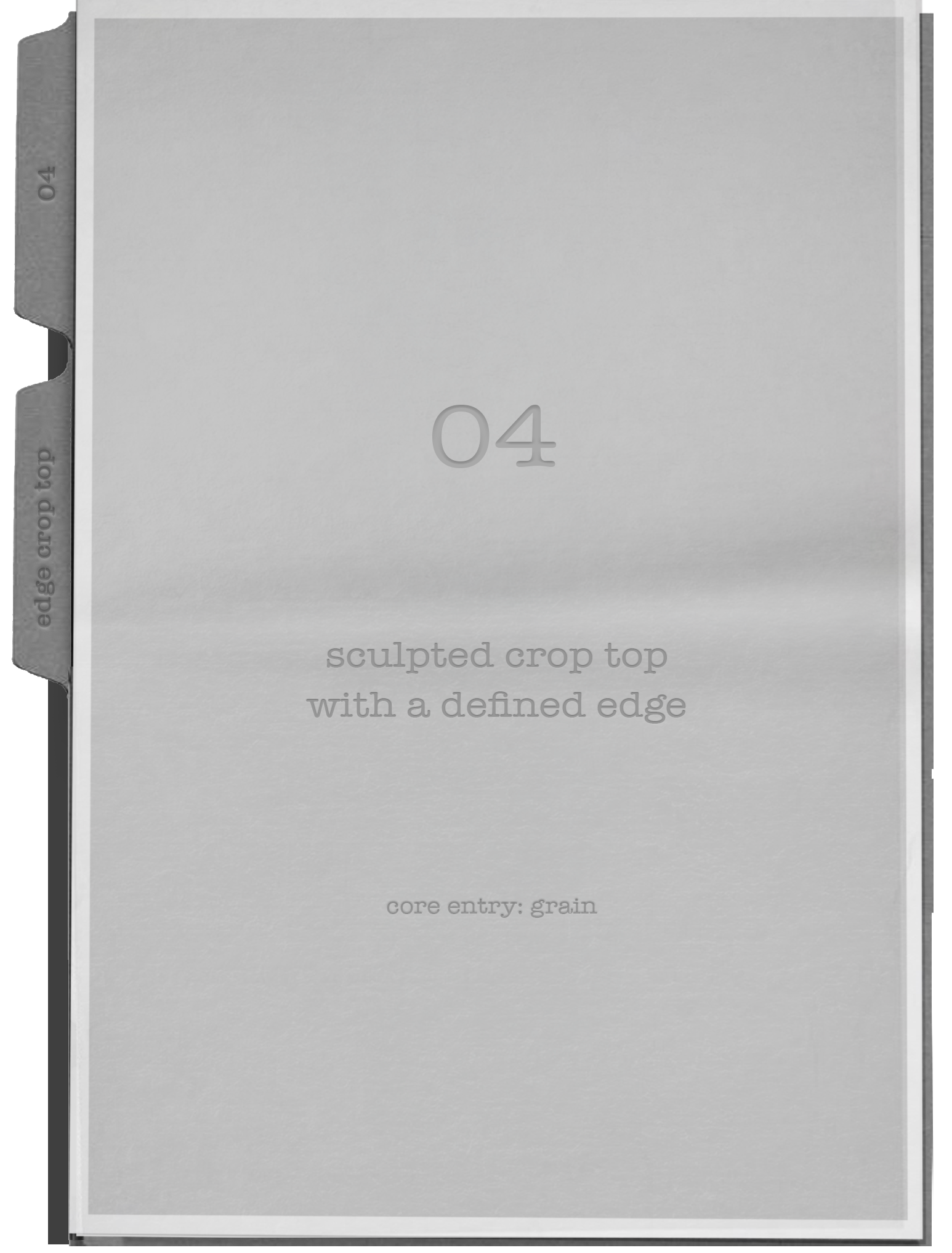 Edge Crop Top